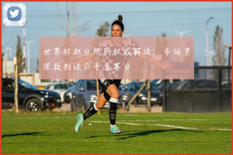 世界杯积分规则权威解读：专访资深裁判谈公平竞赛分