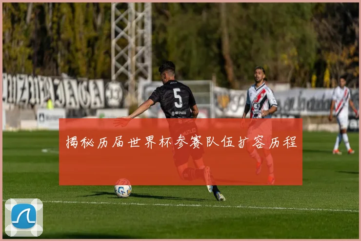 揭秘历届世界杯参赛队伍扩容历程