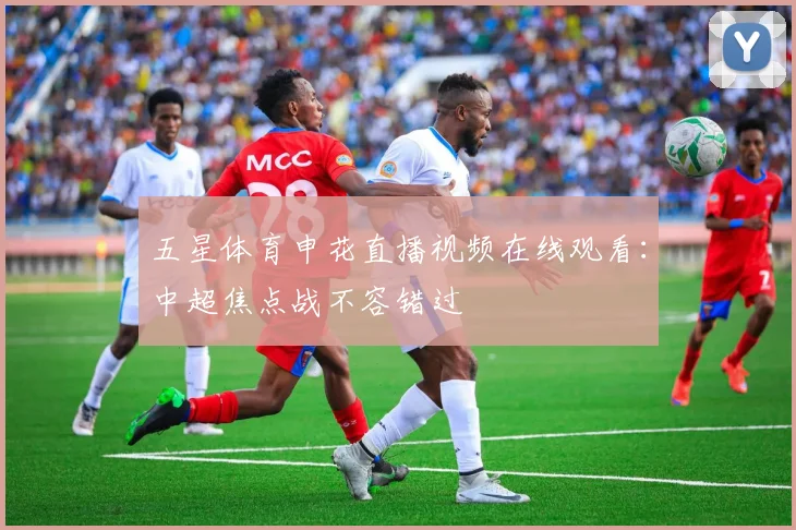 五星体育申花直播视频在线观看：中超焦点战不容错过