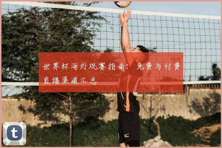 世界杯海外观赛指南：免费与付费直播渠道汇总