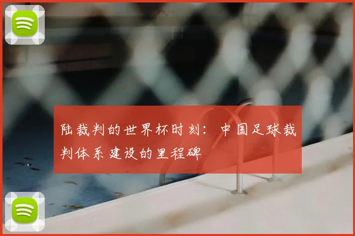 陆裁判的世界杯时刻：中国足球裁判体系建设的里程碑