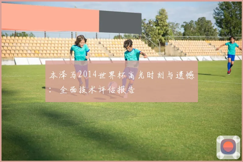 本泽马2014世界杯高光时刻与遗憾：全面技术评估报告