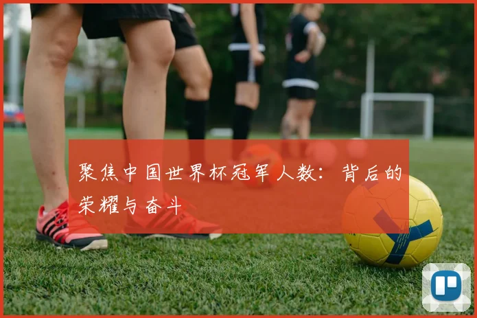 聚焦中国世界杯冠军人数：背后的荣耀与奋斗