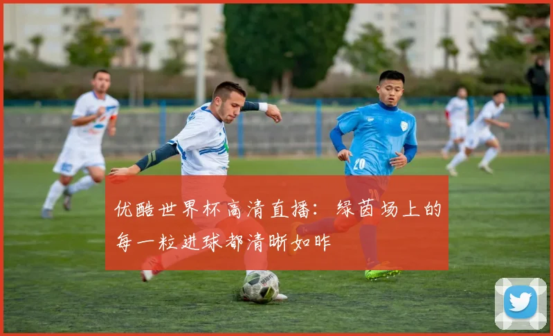 优酷世界杯高清直播：绿茵场上的每一粒进球都清晰如昨