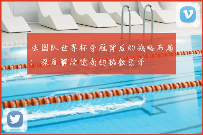 法国队世界杯夺冠背后的战略布局：深度解读德尚的执教哲学