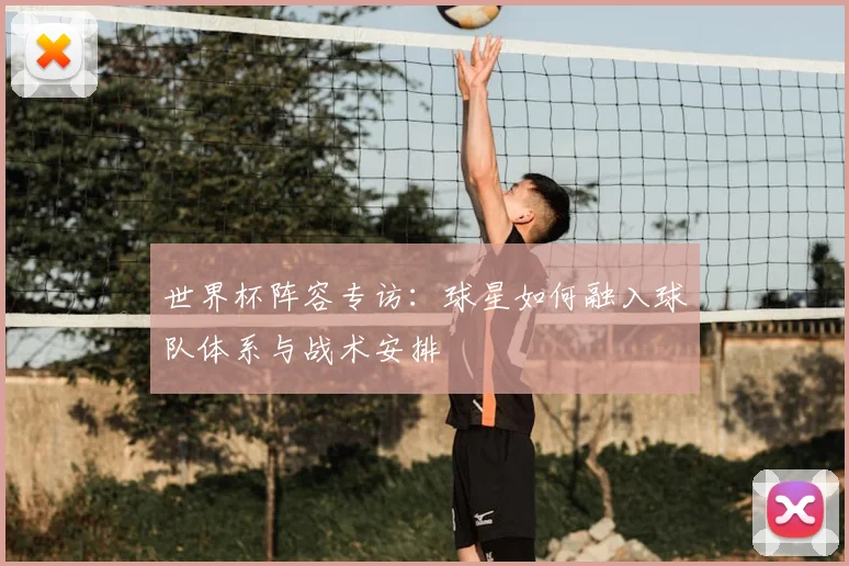 世界杯阵容专访:球星如何融入球队体系与战术安排
