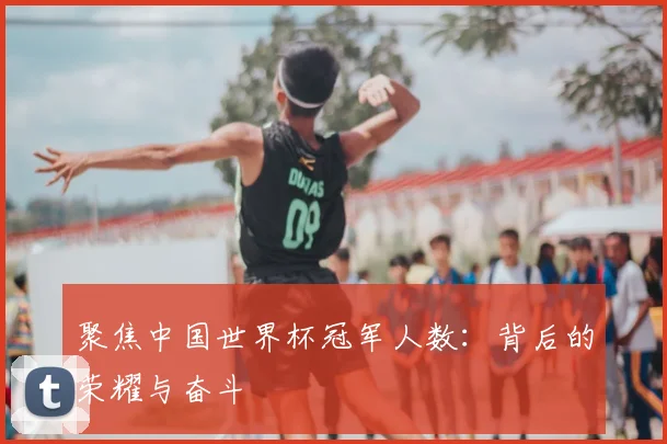 聚焦中国世界杯冠军人数：背后的荣耀与奋斗
