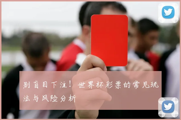 别盲目下注！世界杯彩票的常见玩法与风险分析
