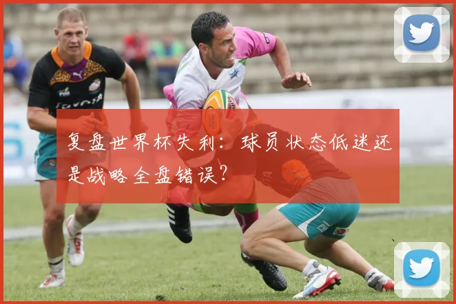 复盘世界杯失利:球员状态低迷还是战略全盘错误?